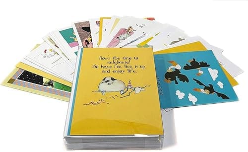Stonehouse Collection Funny Happy Birthday Cards – 24‑Pack Option #1