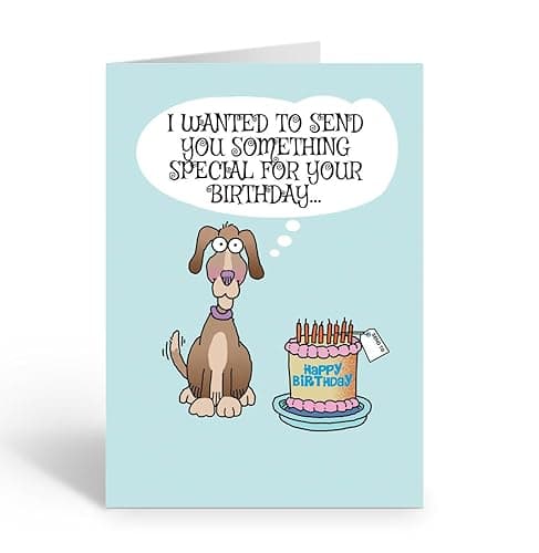 Stonehouse Collection Funny Birthday Greeting Card – “Naughty Cat”